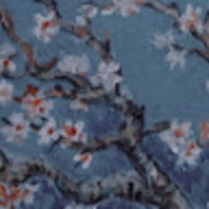 Meet your Posher, Tiana